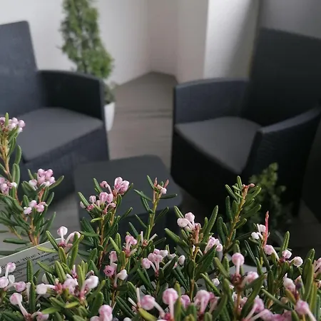 Hanza Tower Apartment-basen Appartement