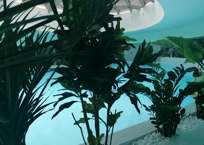 Hanza Tower Apartment-basen 公寓 什切青