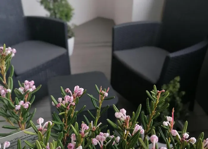 Hanza Tower Apartment-basen 公寓